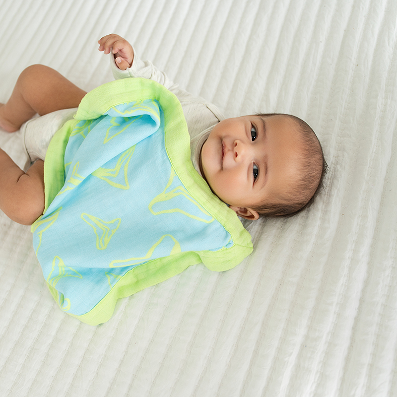 セキュリティブランケット Electric Bite／ Coco Moon